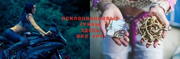 сатива Балабаново