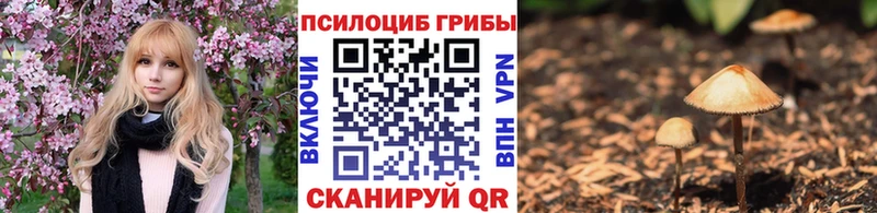 Псилоцибиновые грибы GOLDEN TEACHER  купить закладку  блэк спрут   Якутск 